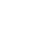 icon Dragon Tiger